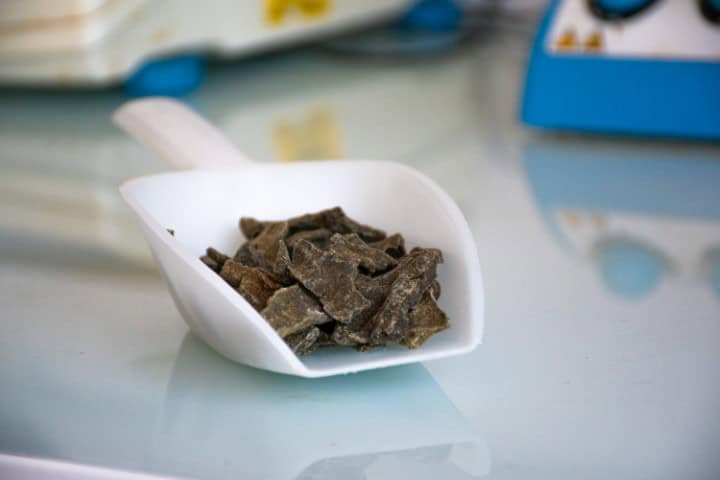 Propolis verte pour prévenir les infections urinaires